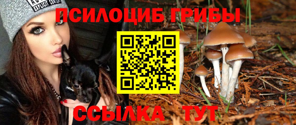 Псилоцибиновые грибы MAGIC MUSHROOMS Холмск
