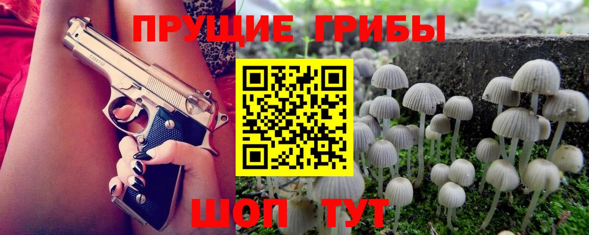 Холмск  Псилоцибиновые грибы Cubensis  Галлюциногенные грибы Cubensis  Вход с VPN 